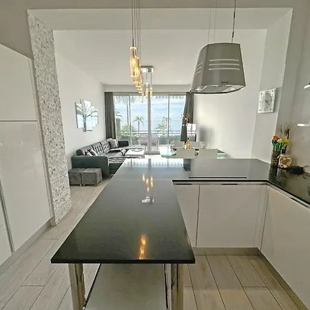 Апартаменты Gorgeous Oceanfront Promenade Ницца